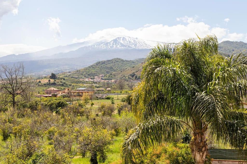 Villa Graziosa Trappitello Kültér fotó